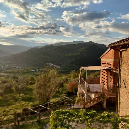 Agriturismo La Fontaccia Rufina Bagian luar foto