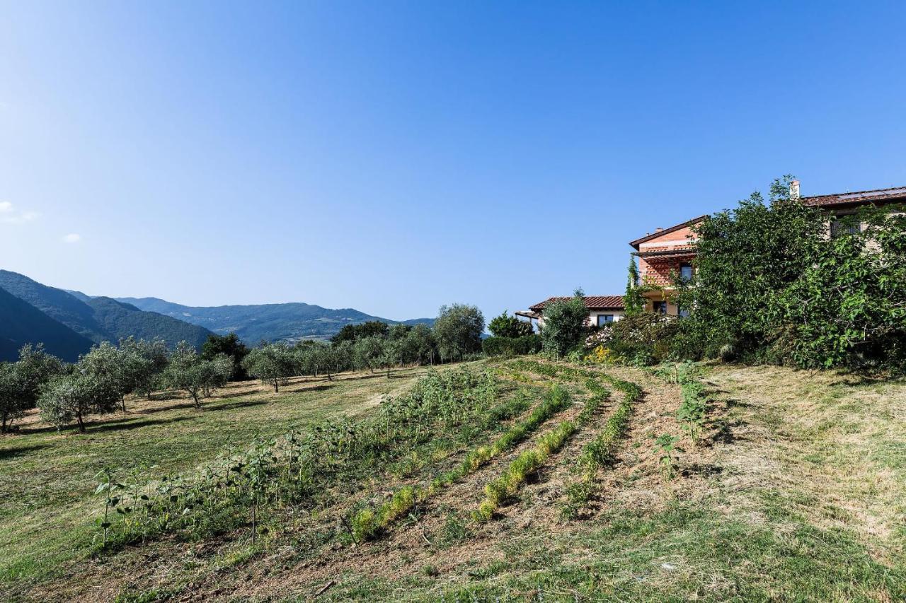 Agriturismo La Fontaccia Rufina Bagian luar foto