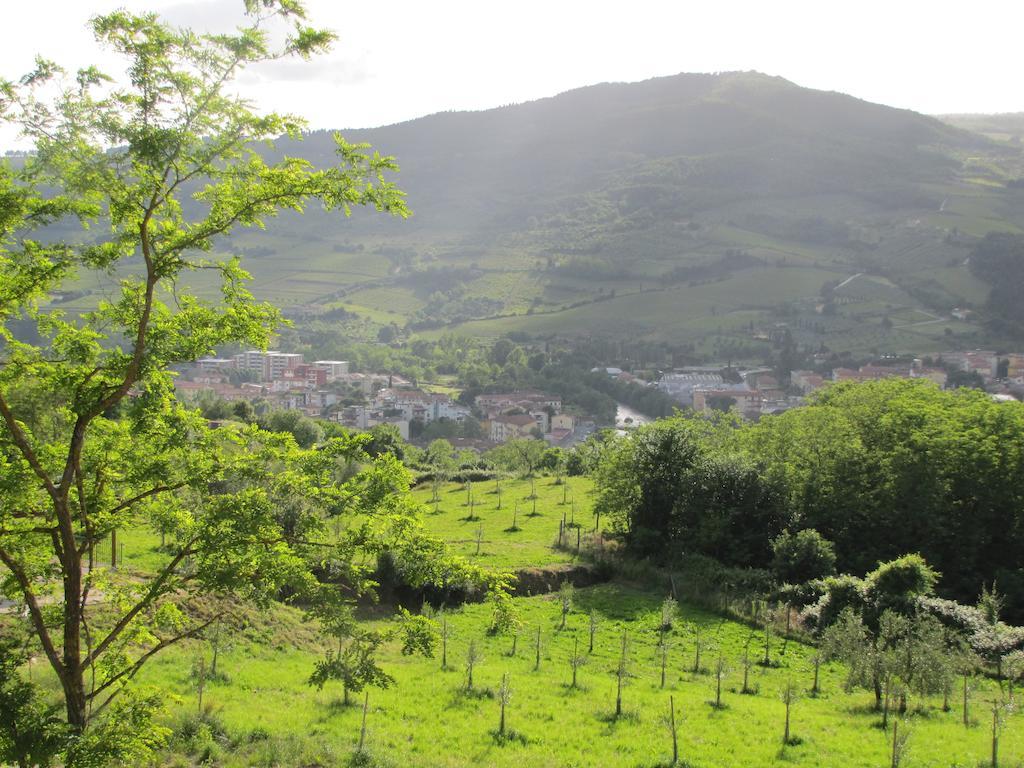 Agriturismo La Fontaccia Rufina Bagian luar foto