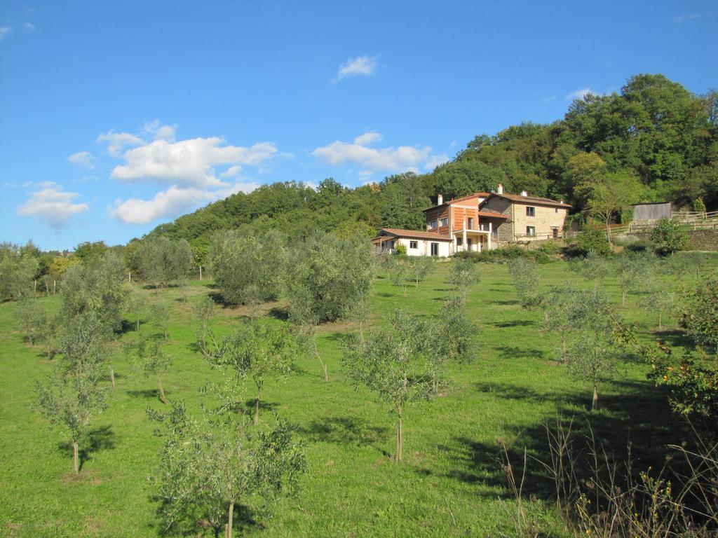 Agriturismo La Fontaccia Rufina Bagian luar foto