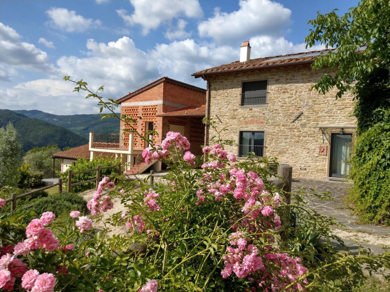 Agriturismo La Fontaccia Rufina Bagian luar foto